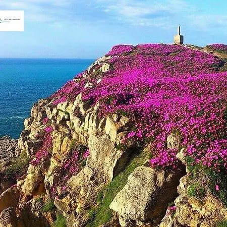 Апартаменты Copi De Суансес