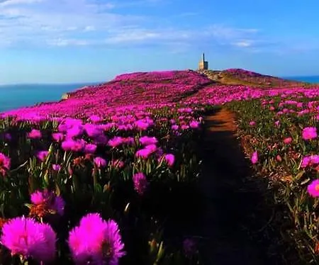 Апартаменты Copi De *