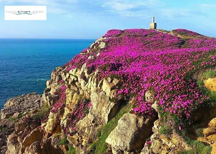 דירה Copi De סואנסס